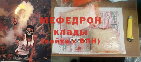 СК Алексин