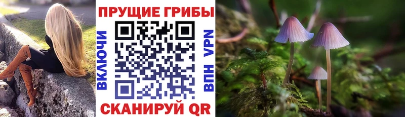 Галлюциногенные грибы GOLDEN TEACHER  блэк спрут зеркало  Крымск  наркотики 
